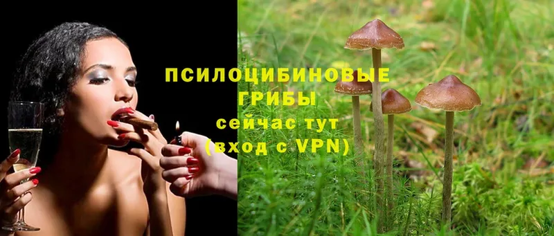 Галлюциногенные грибы MAGIC MUSHROOMS Кувандык